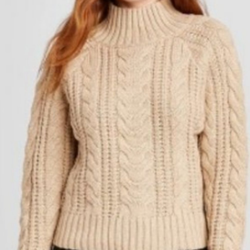 A New Day Cable Turtleneck Pullover Sweater